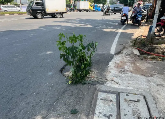 Kondisi jalan berlubang di Jalan Duri Raya, Duri Kepa, Kebon Jeruk, Jakbar, dikeluhkan warga. (Sumber: Poskota/Pandi Ramedhan)