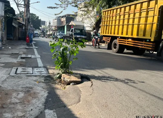 Warga memasang ranting pohon di jalan berlubang, Jalan Duri Raya, Duri Kepa, Kebon Jeruk, Jakbar. (Sumber: Poskota/Pandi Ramedhan)