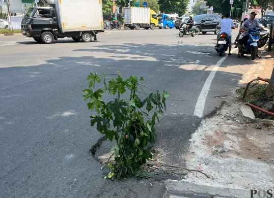 Kondisi jalan berlubang di Jalan Duri Raya, Duri Kepa, Kebon Jeruk, Jakarta Barat, dikeluhkan warga. (Sumber: POSKOTA | Foto: Pandi Ramedhan)