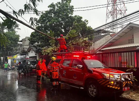 Petugas mengevakuasi pohon tumbang di Jalan Gagalur, Kecamatan Bogor Utara, Kota Bogor, Minggu 3 Agustus 2025. (Sumber: Dok. BPBP Kota Bogor)