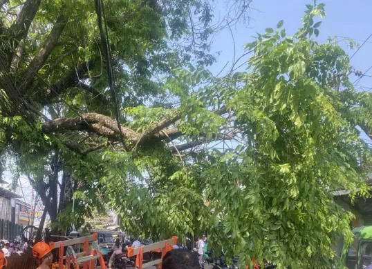 Angin kencang akibatkan satu pohon tumbang di Jalan Raya Stasiun Cilebut, Kecamatan Sukaraja Kabupaten Bogor, Senin, 4 Agustus 2025. (Sumber: Dok. BPBD Kabupaten Bogor)
