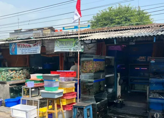 Suasana di lokasi sementara Bursa Ikan Hias Kartini, Gunung Sahari, Jakarta Pusat. (Sumber: POSKOTA | Foto: M Tegar Jihad)