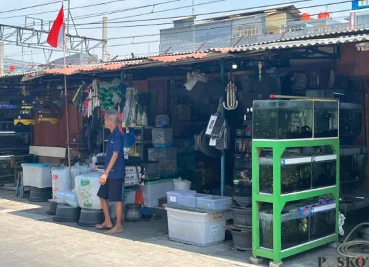Situasi pedagang Lokasi Sementara (Loksem) Bursa Ikan Hias Kartini, Gunung Sahari, Jakarta Pusat, Rabu, 6 Agustus 2025. (Sumber: Poskota/Muhammad Tegar Jihad)