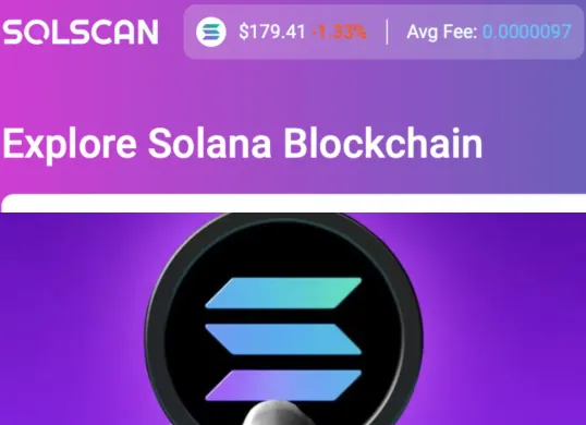 Ilustrasi cara menggunakan Solscan. (Sumber: Solscan)