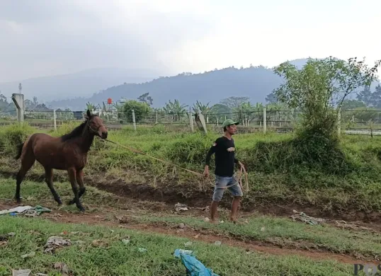 Kondisi lokasi Pacuan Kuda Cikidang, Desa Kayuambon, Lembang, Kabupaten Bandung Barat. (Sumber: POSKOTA | Foto: Gatot Poedji Utomo)