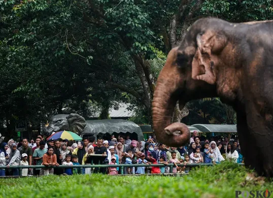 Pengunjung memadati area kandang gajah di Taman Margasatwa Ragunan, Jakarta, saat libur panjang. Wacana pembukaan Ragunan pada malam hari masih dalam tahap kajian. (Sumber: Poskota/Bilal Nugraha Ginanjar)