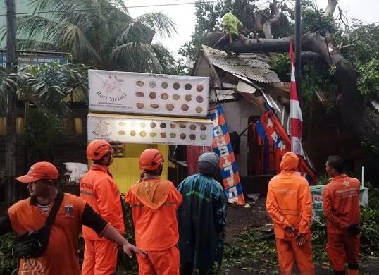 Petugas BPBD Jakarta saat melakukan proses evakuasi pohon tumbang yang menimpa sebuah kios pedagang pada Rabu, 20 Agustus 2025. BPBD Jakarta (Sumber: BPBD Jakarta)