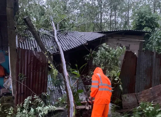 Petugas BPBD mengevakuasi pohon tumbang yang menimpa rumah warga di Cibinong, Kabupaten Bogor. (Sumber: BPBD)