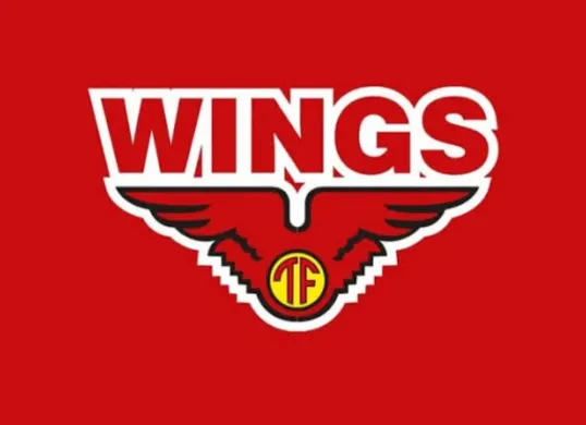 Lowongan kerja Wings Group Indonesia. (Sumber: Instagram/@wings_indonesia)
