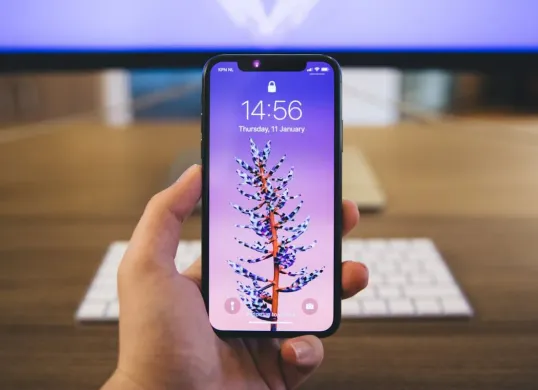 Cek berikut ini beberapa perbedaan iPhone inter dan iBox. (Sumber: Pexels/Rob Eradus)