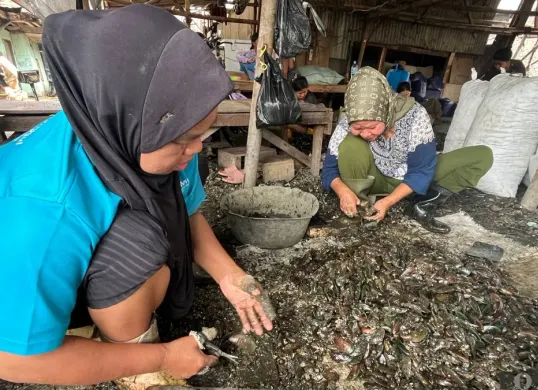 Aktivitas pengupasan cangkang kerang hijau di kawasan Muara Angke, Penjaringan, Jakarta Utara. (Sumber: Poskota/Pandi Ramedhan)