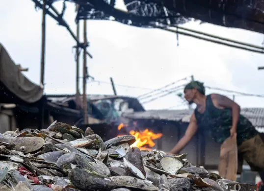 Aktivitas pengupasan kerang hijau di Muara Angke, Penjaringan, Jakarta Utara, Rabu, 3 Desember 2025. (Sumber: POSKOTA | Foto: Dhiya Ahmad Fauzan/M2)