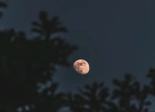 Ilustrasi - Fenomena langit Supermoon Cold Moon. (Sumber: Freepik/wirestock)