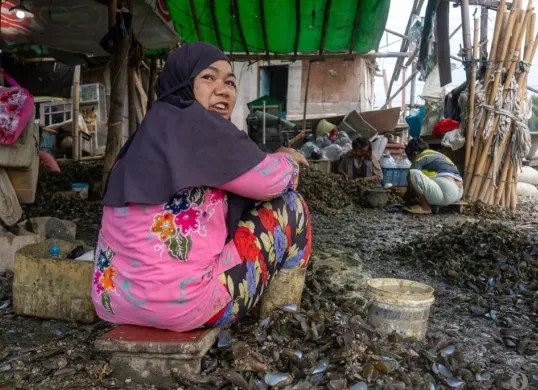 Aktivitas pengupasan kerang hijau di Muara Angke, Penjaringan, Jakarta Utara, Rabu, 3 Desember 2025. (Sumber: POSKOTA | Foto: Dhiya Ahmad Fauzan/M2)