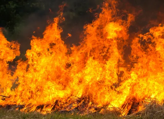 Ilustrasi- Kebakaran besar terjadi di gedung perkantoran Terra Drone di Jalan Letjen Suprapto No. 17, Cempaka Baru, Kemayoran, Jakarta Pusat pada Selasa, 9 Desember 2025. (Sumber: Freepik/ilovehz)