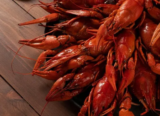 Ilustrasi penyelundupan lobster. (Sumber: Freepik/@freepik)