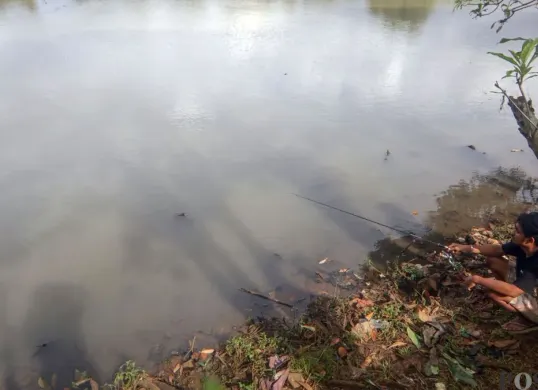Kondisi air di Situ Cimanggis, Kecamatan Bojonggede, Kabupaten Bogor. (Sumber: Poskota/Giffar Rivana)