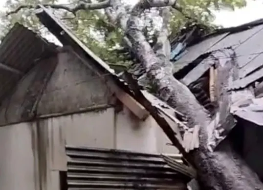 Kondisi rumah warga di Kecamatan Picung, Pandeglang, yang rusak tertimpa pohon tumbang. (Sumber: Dok. Warga)