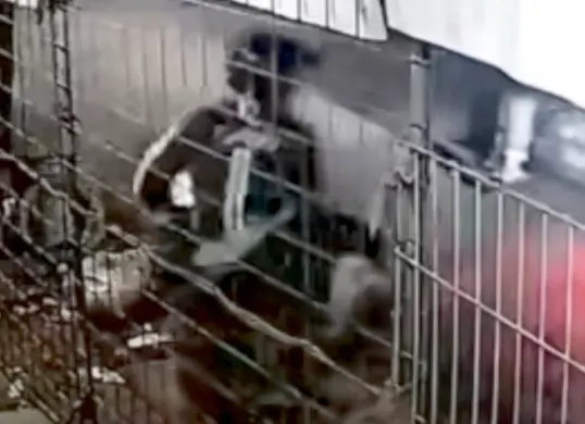 Tangkapan layar CCTV yang merekam aksi pembegalan seorang ojek online di Jalan Pantura, Kecamatan Cikarang Timur, Kabupaten Bekasi. (Sumber: istimewa)