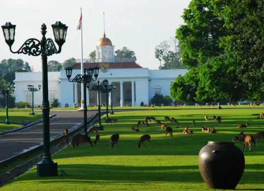 Libur Nataru Tanpa Boncos: Ini 5 Wisata Bogor Ramah di Kantong yang Wajib Masuk Wishlist (Sumber: Pinterest)