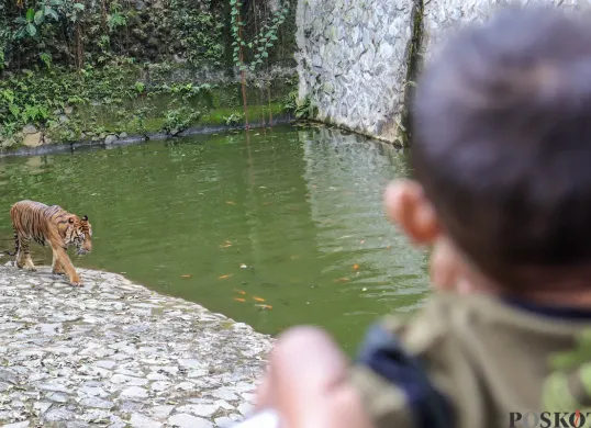 Menghabiskan Libur Natal di Taman Margasatwa Ragunan