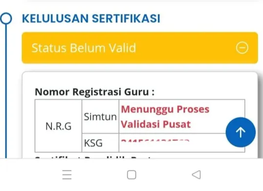 Guru mengecek Nomor Registrasi Guru (NRG) di Info GTK untuk memastikan kelengkapan administrasi dan pengajuan Tunjangan Profesi Guru (TPG). (Sumber: Facebook)