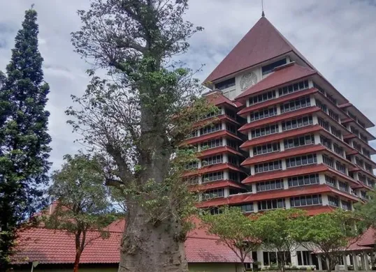 Universitas Indonesia (UI) dikenal dengan program studi berkualitas dan fasilitas lengkap, menjadikannya salah satu kampus terbaik di Indonesia. (Sumber: Pinterest)