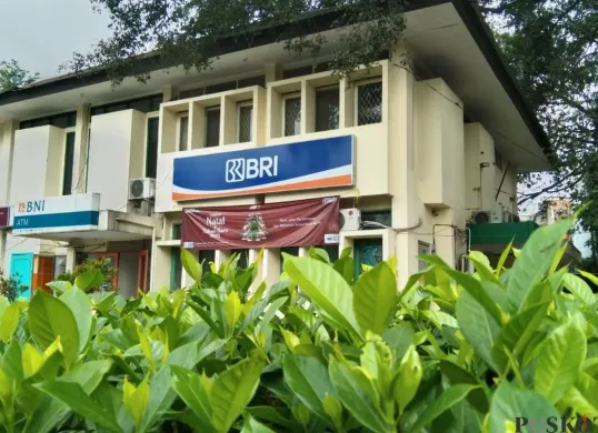 KUR BRI 2025 dengan agunan fisik. (Sumber: Poskota/Arip Apandi)