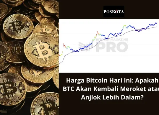 Heatmap 200W MA menunjukkan bahwa Bitcoin masih dalam fase pertumbuhan. (Sumber: Poskota/Yusuf Sidiq)