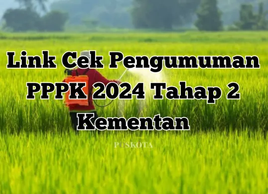 Cek hasil pengumuman PPPK 2024 Tahap 2, termasuk jadwal, cara cek pengumuman, dan tahapan lanjutan (Sumber: Poskota/Yusuf Sidiq)