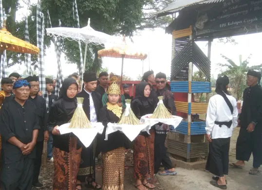 Masyarakat di Kampung Kalapa Cagak, Desa Teluk Lada, Kecamatan Sobang, Pandeglang, saat menggelar acara adat Mapag Sri. (Sumber: Dok. DPKP Pandeglang)