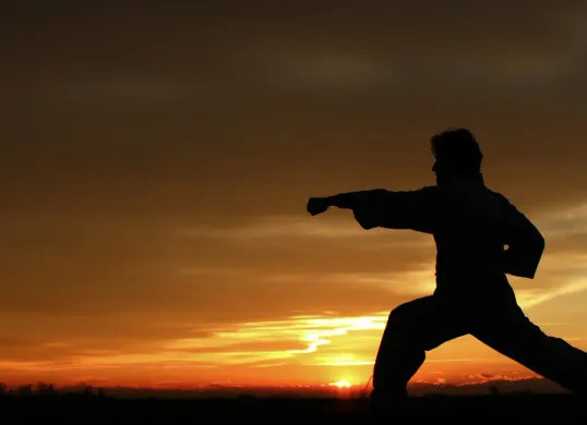 Cara Buat AI Kungfu yang Belakangan Viral di TikTok (Sumber: Unsplash/Alci Alliata)