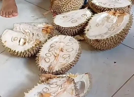 Kondisi durian mentah yang di beli di Pasar Masjid Cheng Ho. (Sumber: Instagram/@nyinyir_update_official)