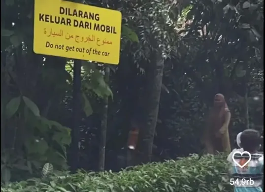 Aksi nekat ibu-ibu ajak keluar anak di area satwa liar Taman Safari Bogor (Sumber: Instagram/radendim)