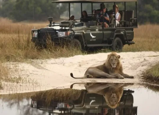 Ilustrasi wisata tour safari, pengunjung  taman safari bogor langgar aturan keluar dari mobil meksipun terpampang plang larangan. (Sumber: Pinterest)