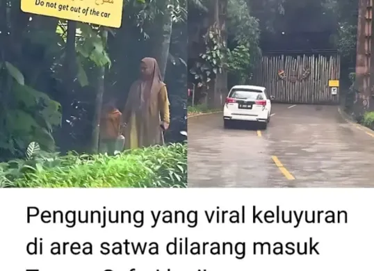  Pengunjung Taman Safari keluar dari mobil.(Sumber: IG/trendingbuzz)