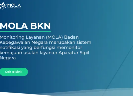 Tangkapan layar sistem Mola BKN. (Sumber: Mola BKN)