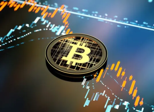 harga Bitcoin menunjukkan fluktuasi signifikan sepanjang awal 2025. (Sumber: Pinterest)