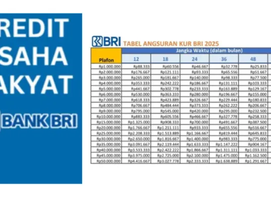 Terdapat berbagai pilihan jenis KUR yang dapat disesuaikan dengan kebutuhan UMKM, mulai dari KUR Super Mikro hingga KUR Kecil. (Sumber: Poskota/Dadan Triatna)