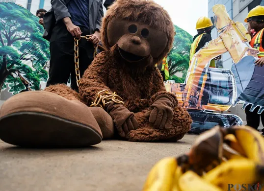 Aksi Tolak Tambang Martabe dan Penyelamatan Orangutan Tapanuli