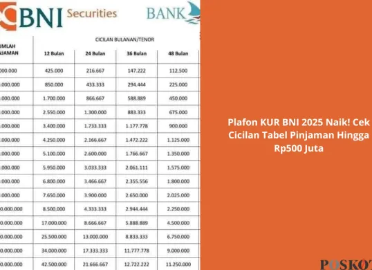 Simulasi angsuran KUR BNI 2025 dengan plafon pinjaman hingga Rp500 juta dan bunga terendah 6% per tahun. Ajukan sekarang dan kembangkan usaha Anda! (Sumber: Poskota/Yusuf Sidiq)