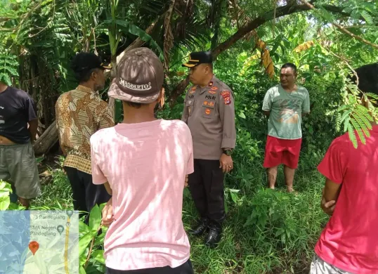 Sejumlah warga bersama pihak Kepolisian Polsek Labuan, Pandeglang, saat hendak mengevakuasi mayat tergantung di pohon petai Cina. (Sumber: Dok. Warga)