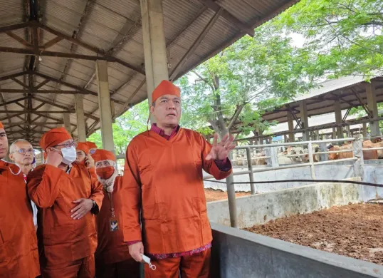 Badan Karantina Indonesia (Barantin) memantau sapi impor di PT Tanjung Unggul Mandiri (TUM) Tanjung Burung, Kabupaten Tangerang, Selasa, 7 Januari 2025. (Sumber: Dok. Humas Barantin)