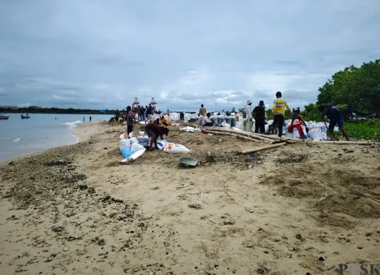 Puluhan warga dari Desa Cigondang, Kecamatan Labuan, Pandeglang, saat tengah membersihkan batu bara di pantai Pulau Popole. (Sumber: Poskota/Samsul Fatoni)