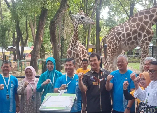 Pj Gubernur Jakarta, Teguh Setyabudi mengunjungi Taman Margasatwa Ragunan dan memberi nama anak jerapah yang lahir pada 3 Desember 2024 lalu dengan nama Rajaka, Rabu, 8 Januari 2025. (Sumber: Poskota/Pandi Ramedhan)