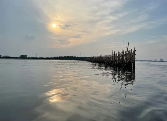 Pagar laut ilegal sepanjang 30 Km dibongkat TNI AL bersama masyarakat setempat, Sabtu 18 Januari 2025. (Sumber: X/@elisa_jkt)