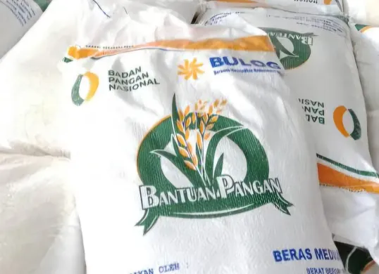 Ilustrasi pencairan bansos beras 10 Kg, masyarakat bisa cek status mereka pakai nama dan nik e-ktp. (Sumber: Istimewa)