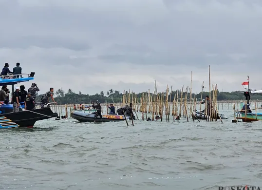 Nelayan dan TNI AL melakukan pembongkaran pagar laut misterius di Kabupaten Tangerang. (Sumber: Poskota/Veronica Prasetio)