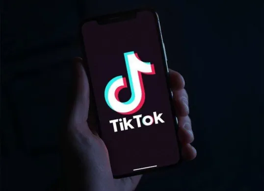 Cara menghasilkan cuan dari Tiktok, begini tips-tipsnya. (Sumber: Pinterest)