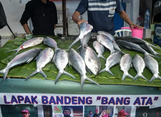 Pedagang Ikan Bandeng Bermunculan di Rawa Belong